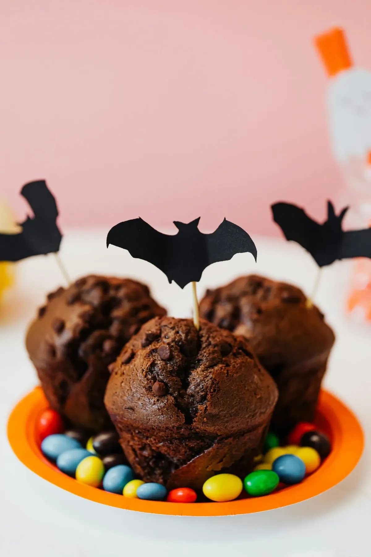 Chocolate Cupcakes
